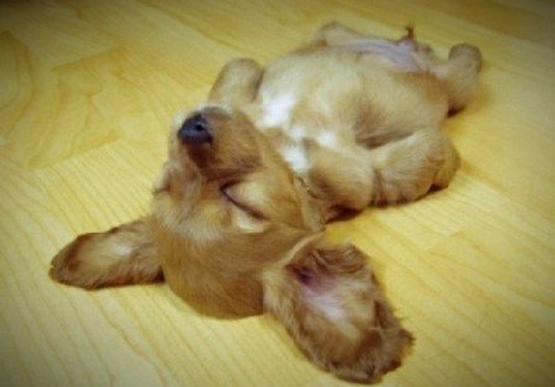 LA CFDT ACCENTURE SIGNE L’ ACCORD RELATIF AU DROIT A LA DÉCONNEXION AU SEIN DU GROUPE ACCENTURE