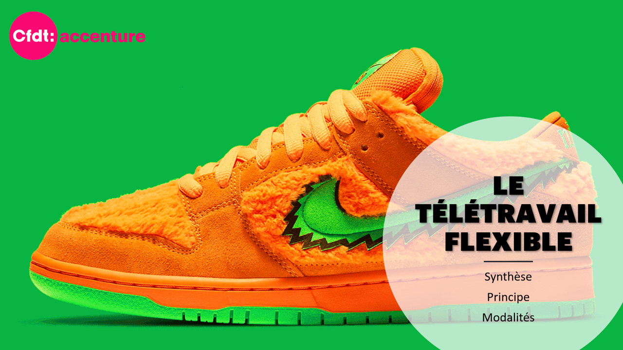 LE TELETRAVAIL FLEXIBLE